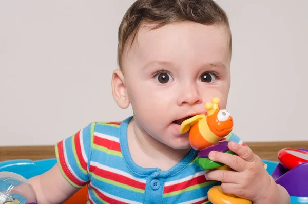 Adorable niño de seis meses masticando un juguete. Dentadura de bebé . —  Fotos de Stock