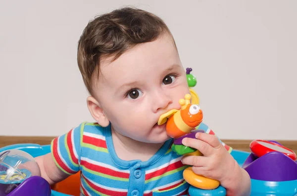 Adorable niño de seis meses masticando un juguete. Dentadura de bebé . —  Fotos de Stock