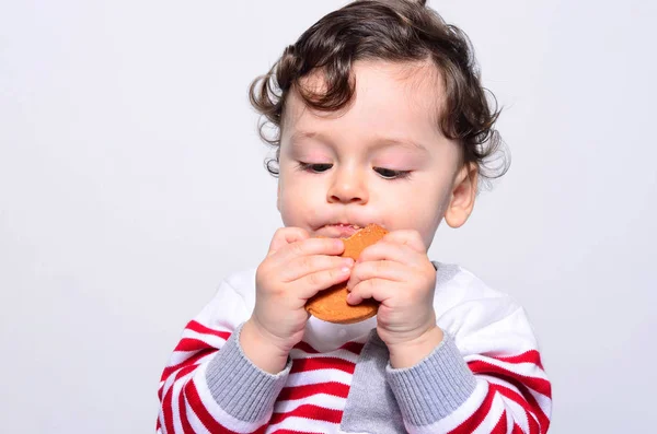 Retrato de um bebê bonito comendo um biscoito . — Fotografia de Stock