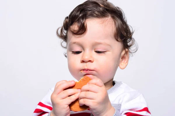 Retrato de um bebê bonito comendo um biscoito . — Fotografia de Stock