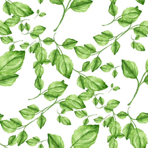 Patrón sin costura de hojas de acuarela verde sobre un fondo blanco.Ilustración de acuarela dibujada a mano . — Foto de Stock