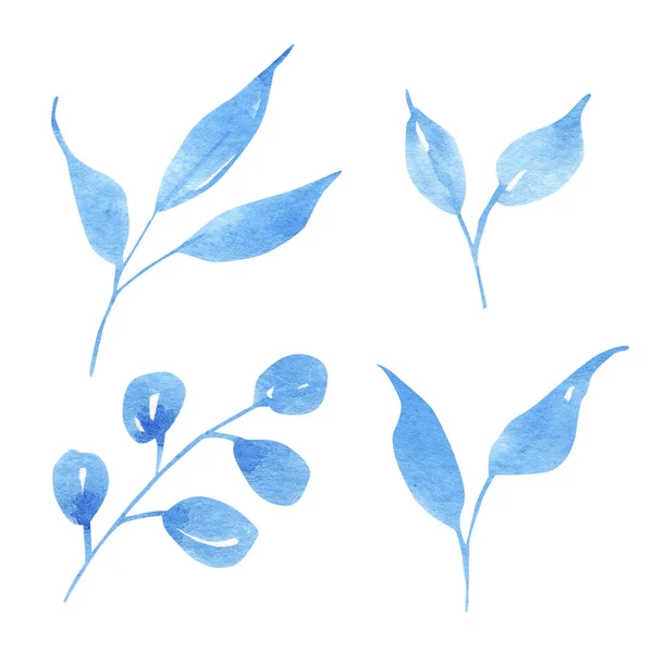 Zestaw niebieskich gałęzi akwarelowych.Ręcznie malowana ilustracja akwarelowa. izolowany na białym tle. — Zdjęcie stockowe