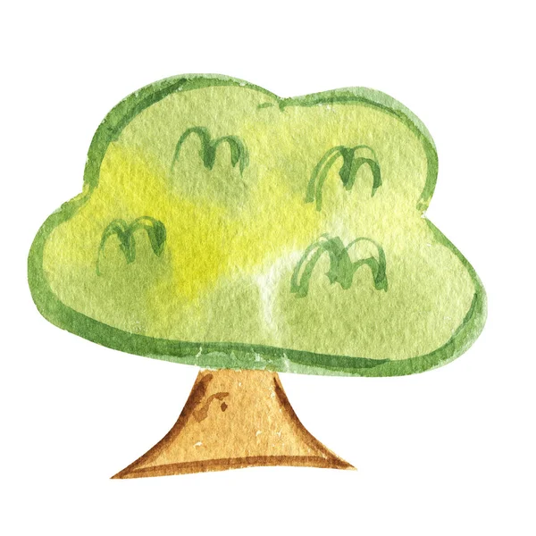 Drzewo akwarelowe.Ręcznie rysowane akwarela ilustracji.Izolowane na białym tle. — Zdjęcie stockowe