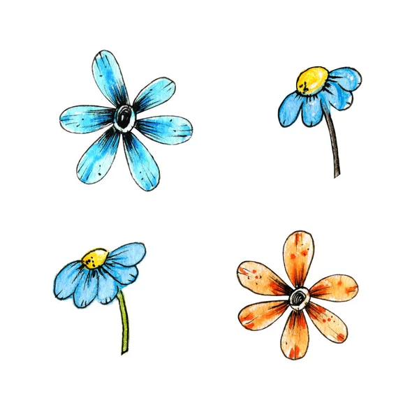 Set of watercolor daisies. Isolated on a white background.. Hand Drawn watercolor illustration. — 스톡 사진