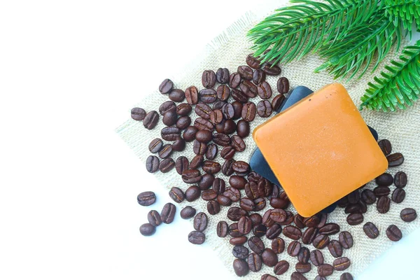 Charcoal and coffee soap bars on white background decorated with roasted coffee beans and green pines.