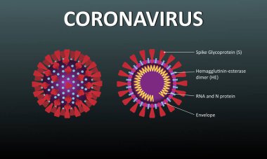 Mikroskobik ve diyagramda koronavirüs veya koyu gargara arkaplan üzerinde covid-19 hücresi detayları.