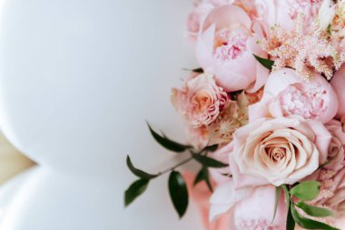 Taze, parlak şakayık çiçekleri