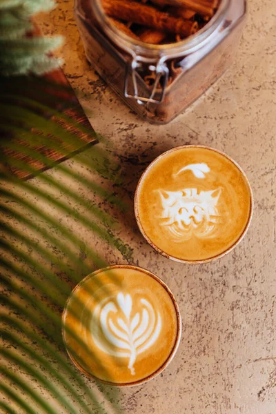 Close up Cycad palm tree on light background with cup of coffee. — Stock Photo, Image