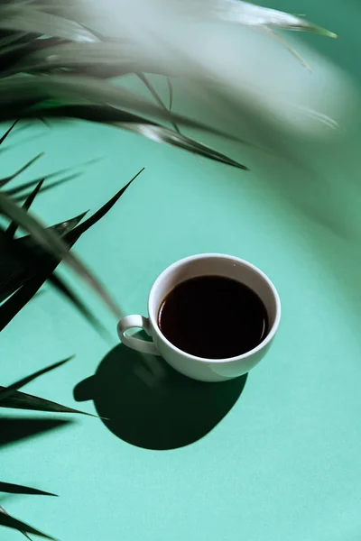 Morning coffee on the colorful background and palm branches. On blurred background with copy space.