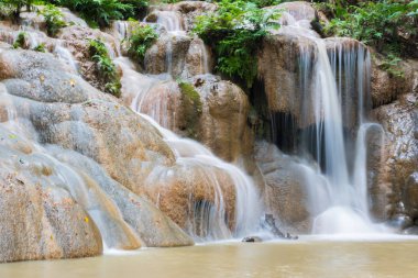 Yağmur mevsimi şelale