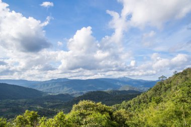 doğanın güzel şelale