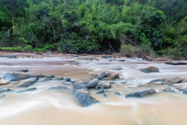 doğanın güzel şelale
