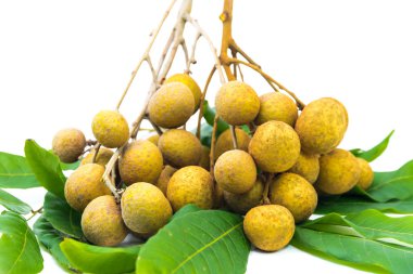 Taze longan olgunlaşmış meyve 