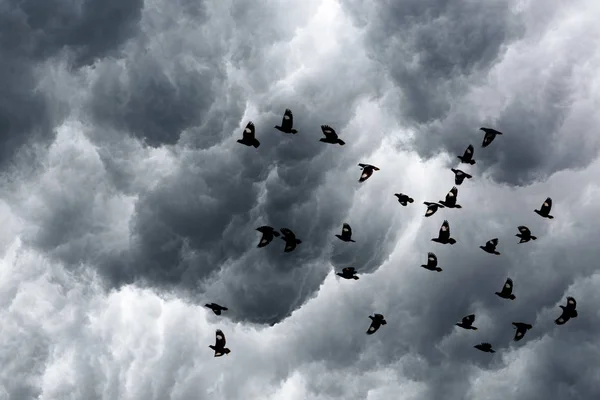 Pozadí bouřkové mraky — Stock fotografie