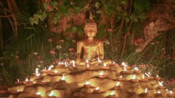 Socha Buddhy, světlo svíčky pod stromem Bodhi, bezešvé smyčka .