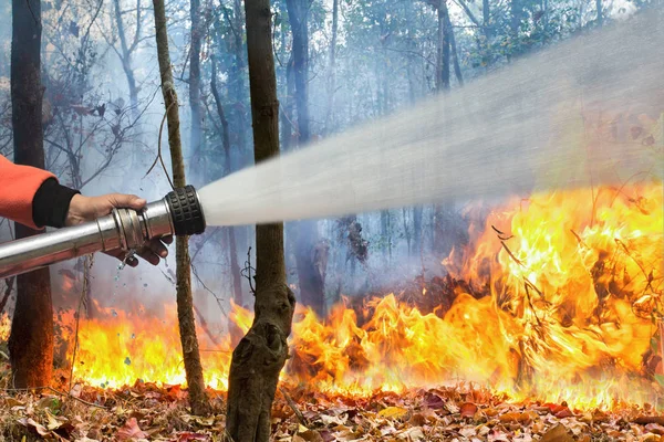 Hasiči rozstřikují vodu na divoký oheň — Stock fotografie