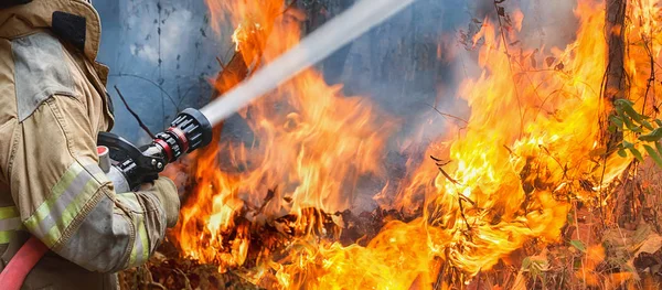 Brandmän sprutar vatten till löpeld — Stockfoto