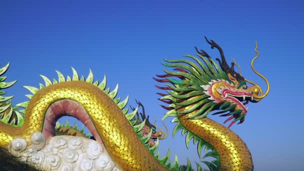 Dragón chino con cielo azul — Vídeo de stock