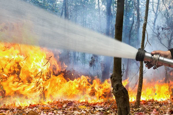 Strażacy rozpylają wodę do dzikiego ognia — Zdjęcie stockowe