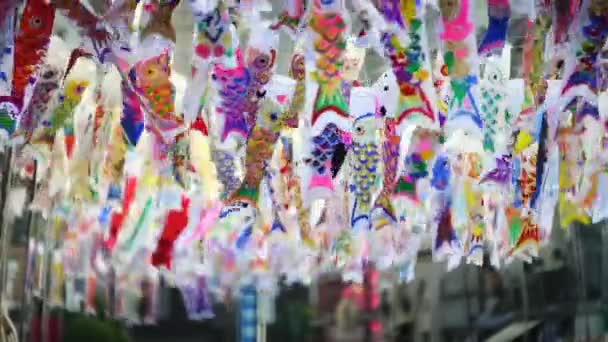 다채로운 잉어 깃발 또는 가와고에, 일본 사이타마에서 코 — 비디오