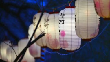 Fener Sakura Festivali Tokyo, Japonya.