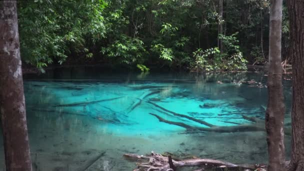 Sra Morakot (Blue Pool) Krabi, Thailandia — Video Stock