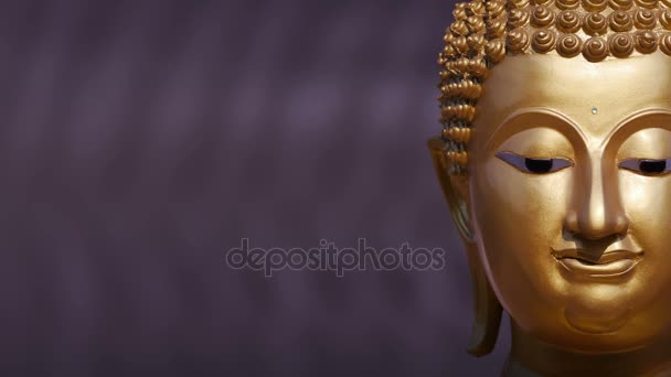 Golden Buddha statue close up ,Panning — Stock Video