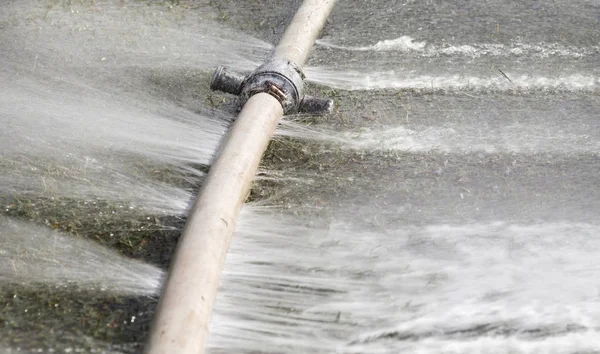 Water lekken uit gat in een slang — Stockfoto