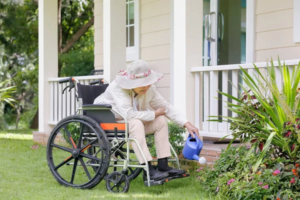 Jardinería de mujeres mayores en el patio trasero — Foto de Stock