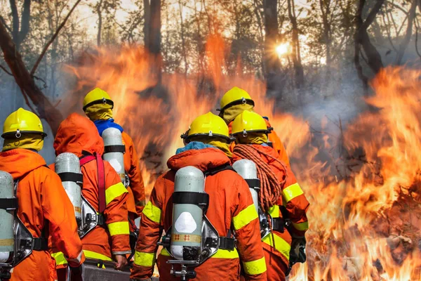 Vigili del fuoco che preparano attrezzature nella foresta — Foto Stock