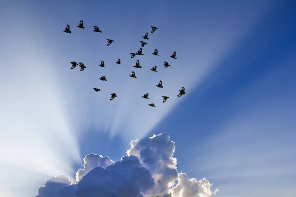 Los rayos del sol vienen a través de nubes —  Fotos de Stock