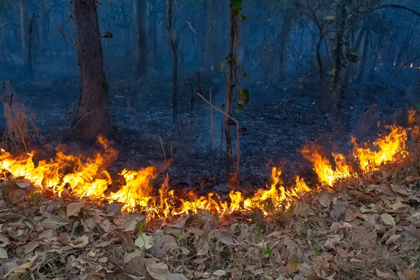 Wildfire on mountain in thailand — Stock Photo, Image