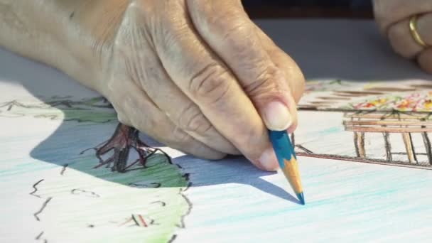 老年妇女绘画色彩对她的爱好绘画 — 图库视频影像