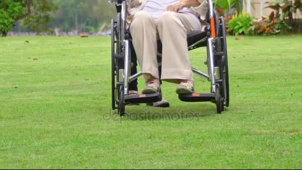 Ηλικιωμένη Γυναίκα Άσκηση Περπάτημα Στην Αυλή Την Κόρη — Αρχείο Βίντεο