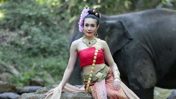 Femme Asiatique Avec Éléphant Dans Ruisseau Chiang Mai Thaïlande — Video