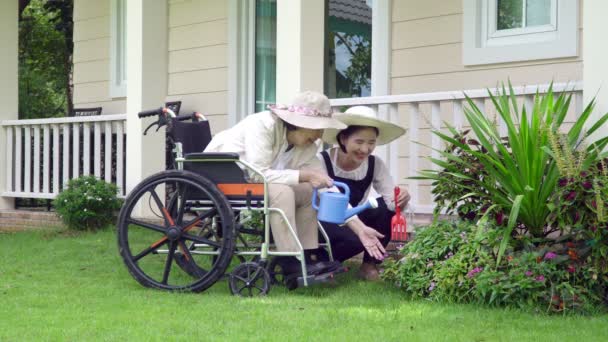 Ηλικιωμένη Γυναίκα Χαλαρώσουν Στην Αυλή Την Κόρη — Αρχείο Βίντεο