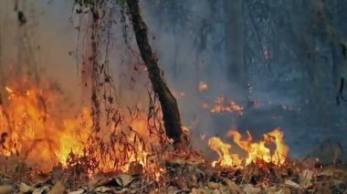 dağ Tayland tarihinde söndürülmesi güç ateş