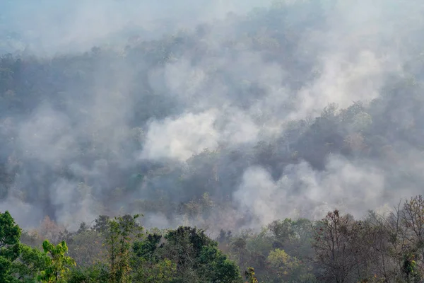 Incêndio na montanha na Tailândia — Fotografia de Stock