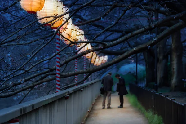 Lyktor i Sakura Festival på gångväg Ooyokogawa river, Tokyo, — Stockfoto