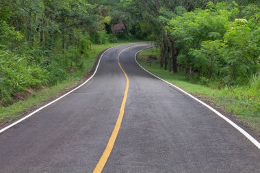 Eğri yol aracılığıyla norther tropikal ormanda yol asfalt