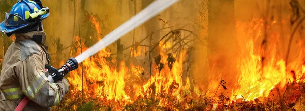 Australie feux de brousse, Le feu est alimenté par le vent et la chaleur . — Photo