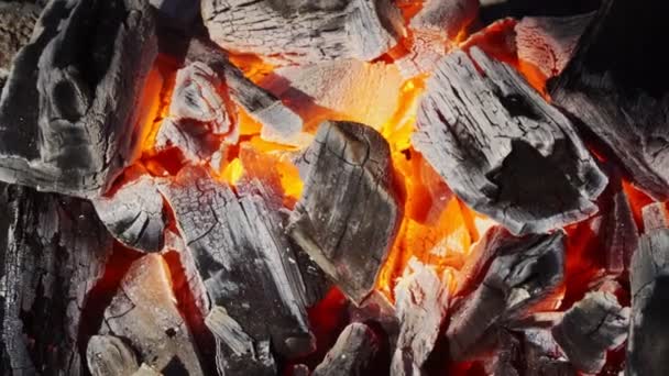 Close Charcoal Starting Burn Kitchen Grill Hot Charcoal Flame Smoke — Stock Video