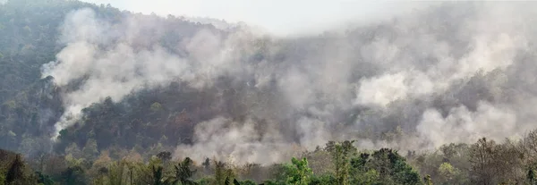アマゾンの熱帯雨林火災災害は 科学者が前に見たことがない速度で燃えている — ストック写真