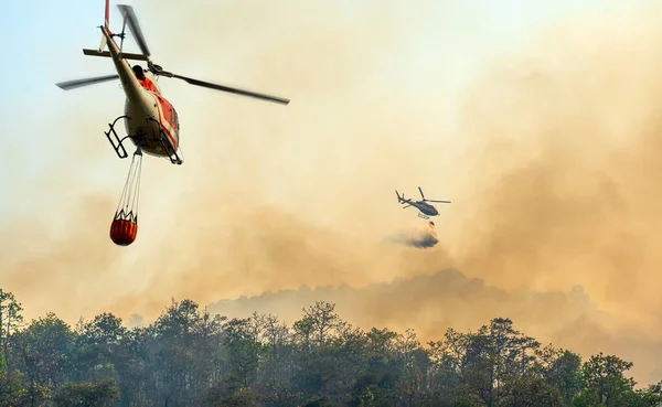 直升机向森林大火倾倒水 — 图库照片