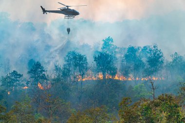 Helikopter orman yangınına su döküyor.