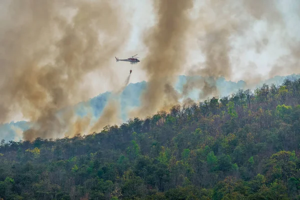 Helicóptero Vertiendo Agua Incendios Forestales — Foto de Stock