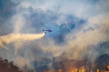 Helikopter orman yangınına su döküyor.