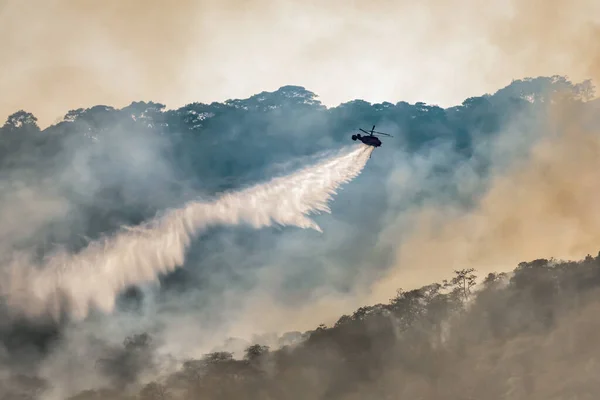 Tűzoltó Helikopter Csepegtető Víz Erdőtűz — Stock Fotó