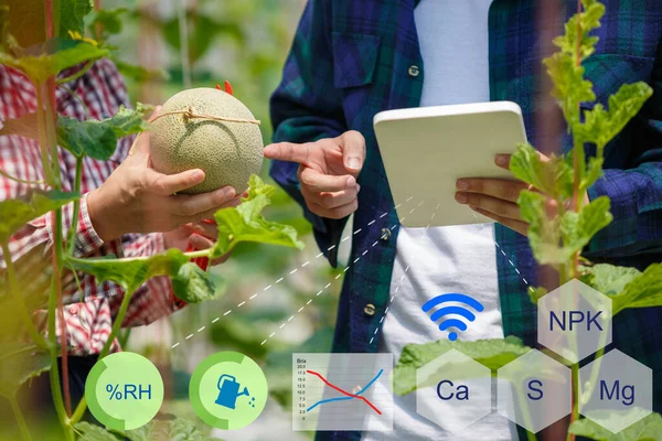 Smart Farm Farmer Mit Tablet Computer Steuern Landwirtschaftliches System Gewächshaus — Stockfoto