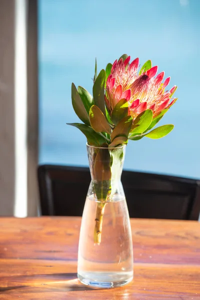 Protea sunny flower on the table in the room. Vertical photo